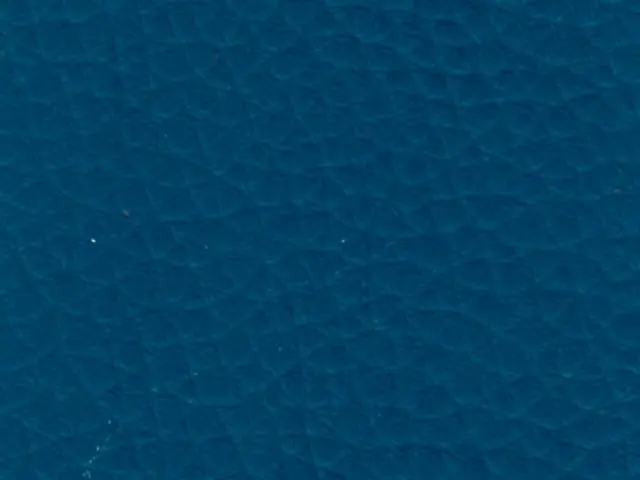 Imagen Polipiel Azul oscuro