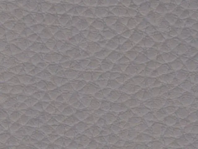 Imagen Polipiel Gris