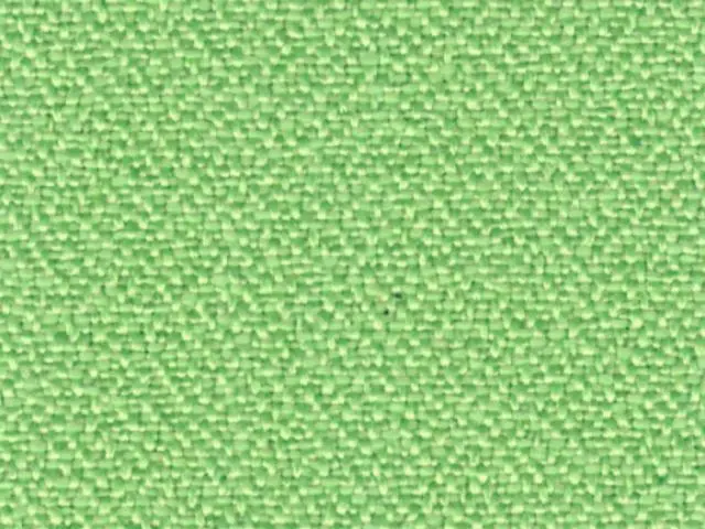 Imagen Basic Verde Claro