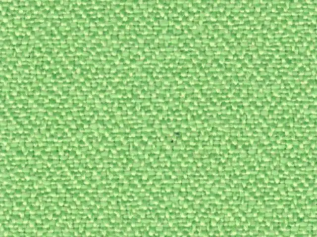 Imagen Asiento basic verde - Respaldo malla gris