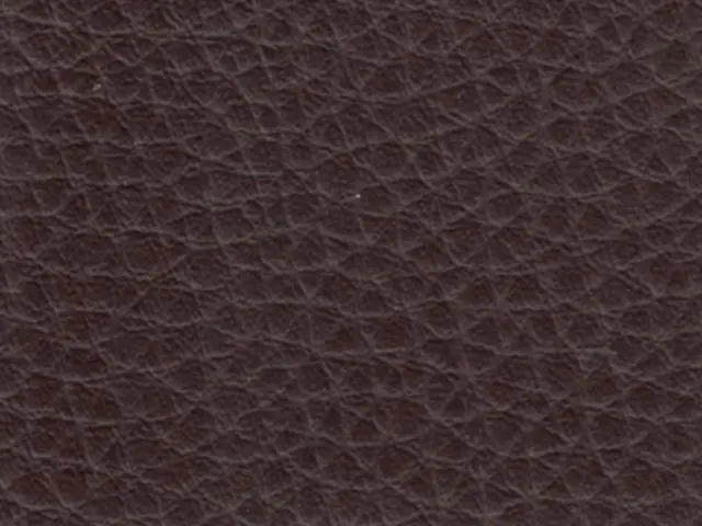 Imagen Polipiel Chocolate