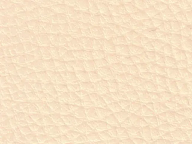 Imagen Polipiel Beige duna