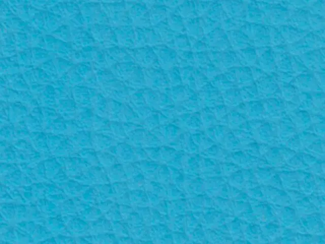 Imagen Polipiel Azul Cielo