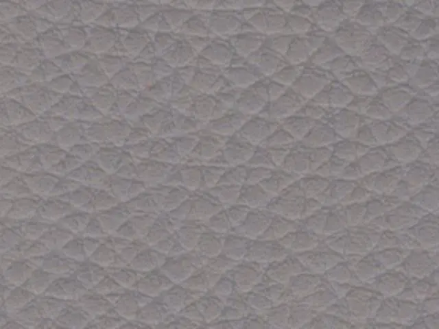 Imagen Polipiel Gris