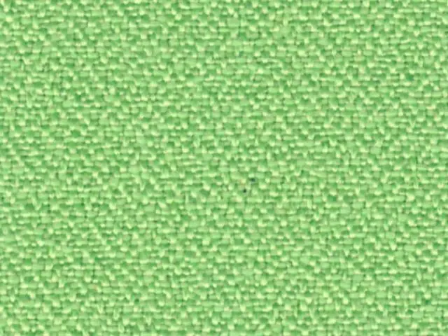 Imagen Asiento basic verde - Respaldo malla roja