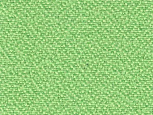 Imagen Asiento basic verde - Respaldo malla blanca